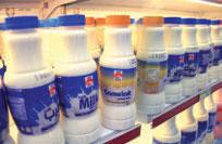 Продукты из верблюжьего молока полезны при диабете